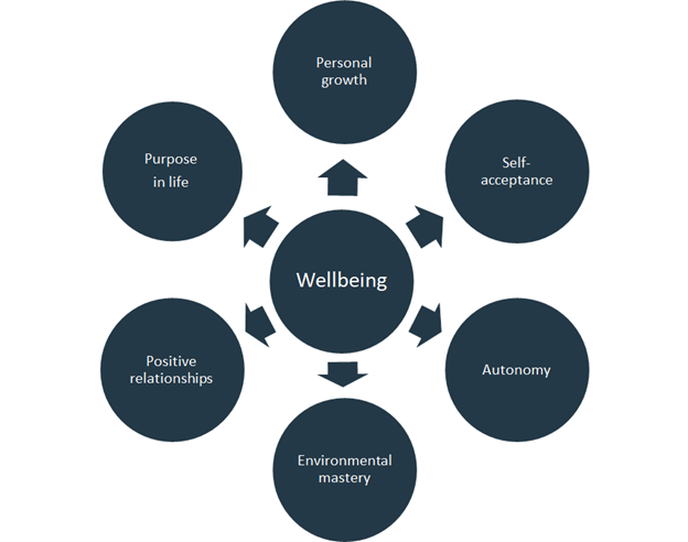 Image of the wellbeing map