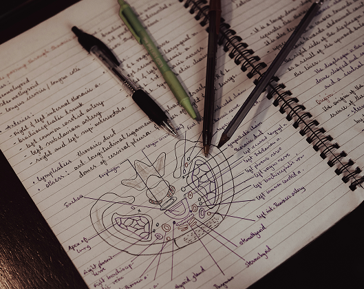 Blog thumbnail